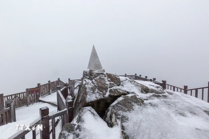 Snow blankets Fansipan Mt. peak due to strong cold influence